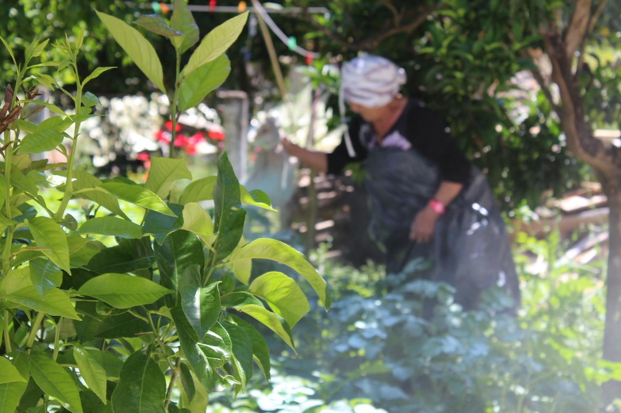 Eirini'S House Liapades Διαμέρισμα Εξωτερικό φωτογραφία